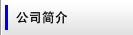 公司簡介